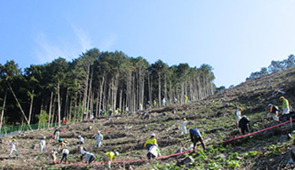 植樹をするコーナン従業員