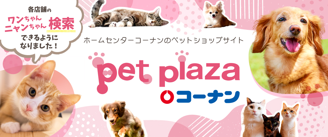 コーナンのペット総合サイトPet Plazaではワンちゃんニャンちゃんの検索ができます