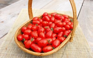 もう失敗しない？！家庭菜園は