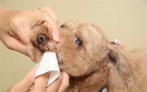 「良い歯の日」に歯磨き習慣を見直そう！家族みんなで楽しくオーラルケア
