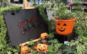 手作りリースに挑戦！ 玄関飾りでハロウィンをもっと楽しもう♪