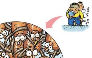 退治・掃除・予防が基本！ これからの季節も油断できないダニ対策