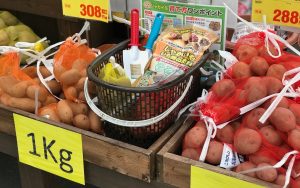 プランターでじゃがいもが育つ?! 初心者におすすめの家庭菜園