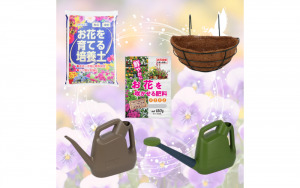秋冬の庭に彩りを♪ ハンギングバスケットでお気に入りの花を飾ろう！