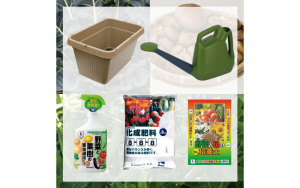 秋植えにチャレンジ♪ 家庭菜園で野菜を育ててみよう！