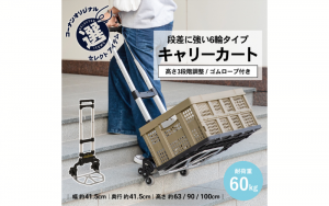 あなたはどのタイプで持ち運びする？エコバッグからキャリーカートまでシーンで選ぶお買い物バッグ
