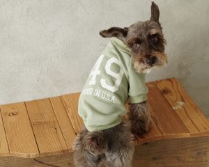 シーンに合わせて愛犬のおしゃれを楽しもう！あったかドッグウェアコレクション♪