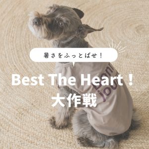 暑さをふっとばせ！Best The Heart！大作戦