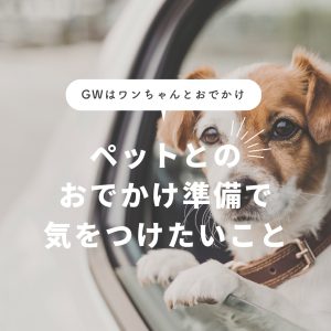 GWはワンちゃんとおでかけ！ペットとのおでかけ準備で気をつけたいこと。