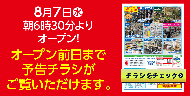 チラシをチェック