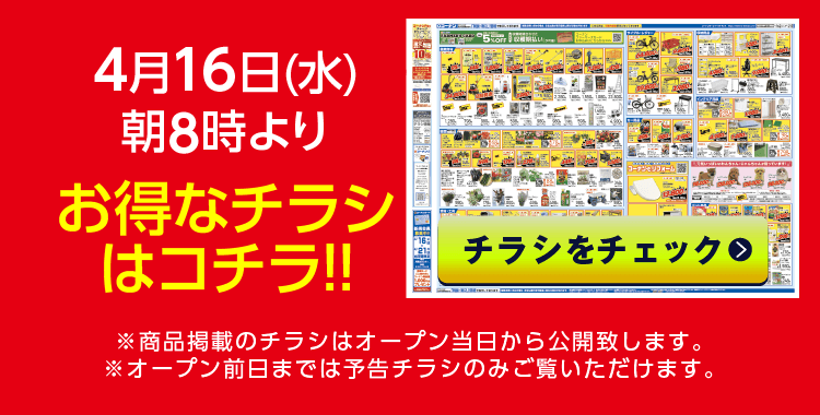 チラシをチェック