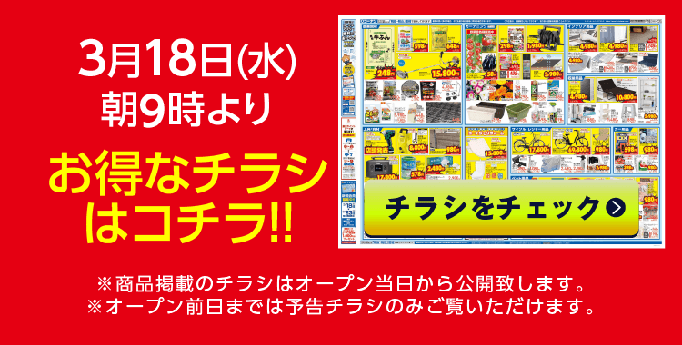 チラシをチェック