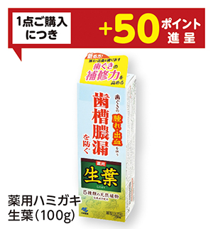 商品12