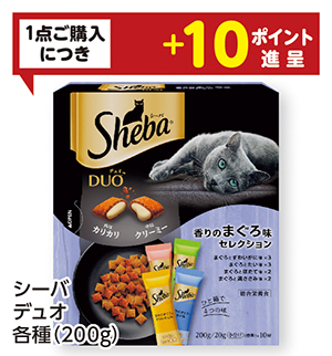 商品77