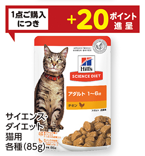 商品85