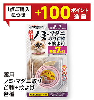 商品51