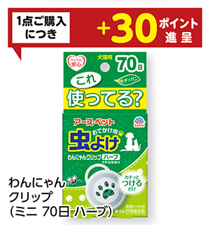 商品55
