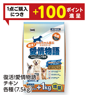 商品66
