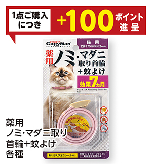 商品104