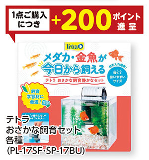 商品115