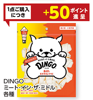 商品84