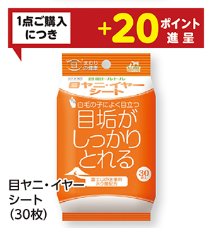 商品100