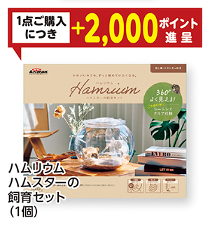 商品119