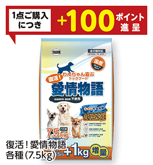 商品55