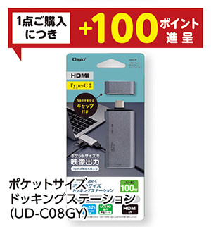 商品100