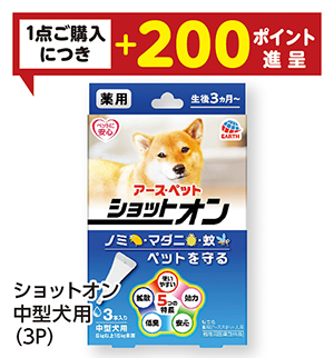 商品81