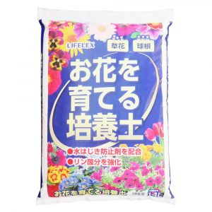 秋冬の庭に彩りを ハンギングバスケットでお気に入りの花を飾ろう コーナン公式サイト 秋冬の庭に彩りを ハンギングバスケットでお気に入りの花を飾ろう コーナン公式サイト